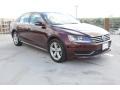 2014 Passat 2.5L SE #1 2014 Passat 2.5L SE #1