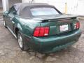 2001 Mustang V6 Convertible #6