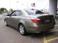 2006 5 Series 525i Sedan #4