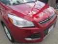 2015 Escape SE #7