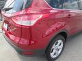 2015 Escape SE #10