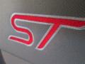 2014 Focus ST Hatchback #12