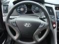 2013 Sonata GLS #13 2013 Sonata GLS #13