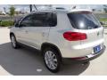 2014 Tiguan SEL #9