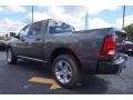 2014 1500 Express Crew Cab #5