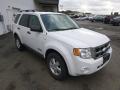 2008 Escape XLT V6 #3