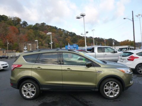 Ginger Ale Metallic Ford Escape SE 2.0L EcoBoost 4WD.  Click to enlarge.