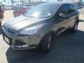2015 Escape SE #6