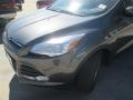 2015 Escape SE #7