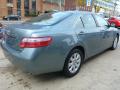 2009 Camry XLE #12