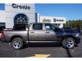 2014 1500 Express Crew Cab #8