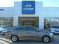 2014 Sonata GLS #1
