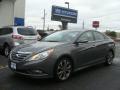 2014 Sonata SE #1