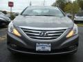 2014 Sonata SE #2