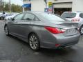 2014 Sonata SE #6