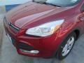 2015 Escape SE #2 2015 Escape SE #2