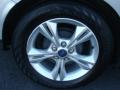 2013 Focus SE Sedan #28
