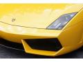 2009 Gallardo LP560-4 Coupe #5