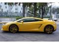  2009 Lamborghini Gallardo Giallo Halys (Yellow) #7