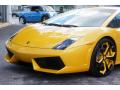2009 Gallardo LP560-4 Coupe #21