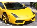 2009 Gallardo LP560-4 Coupe #24