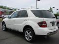 2008 ML 350 4Matic #3