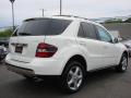 2008 ML 350 4Matic #4