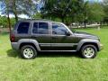  2006 Jeep Liberty Dark Khaki Pearl #3