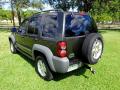 2006 Liberty CRD Sport 4x4 #9