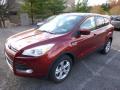 2015 Escape SE #6 2015 Escape SE #6