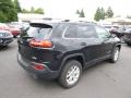 2014 Cherokee Latitude 4x4 #6 2014 Cherokee Latitude 4x4 #6
