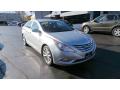 2011 Sonata SE #3