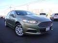 2013 Fusion SE 1.6 EcoBoost #1