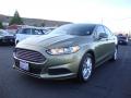 2013 Fusion SE 1.6 EcoBoost #3