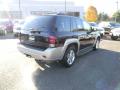 2008 TrailBlazer LT 4x4 #6