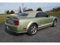  2005 Ford Mustang Legend Lime Metallic #4