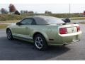 2005 Mustang GT Premium Convertible #6