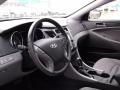 2013 Sonata SE #9 2013 Sonata SE #9