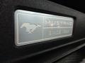 Mustang Since 1964 #21