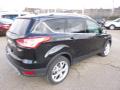 2015 Escape Titanium 4WD #8