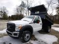 2015 F450 Super Duty XL Regular Cab Dump Truck 4x4 #2