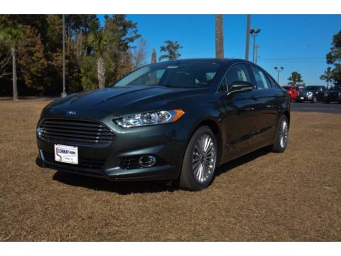 Guard Metallic Ford Fusion Titanium.  Click to enlarge.