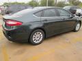 2015 Ford Fusion Guard Metallic #3 2015 Ford Fusion Guard Metallic #3
