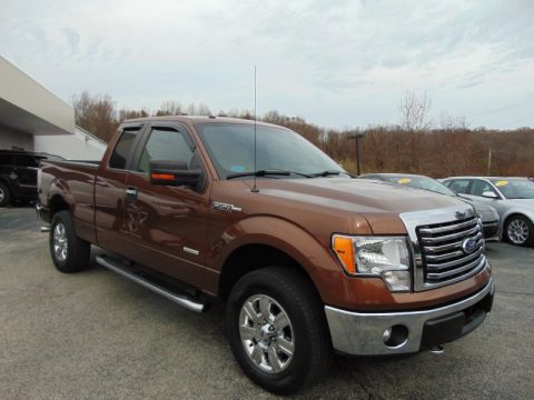 Golden Bronze Metallic Ford F150 XLT SuperCab 4x4.  Click to enlarge.