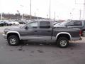  2002 Dodge Dakota Graphite Metallic #5