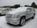 2010 Escalade ESV Platinum AWD #3