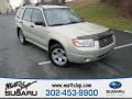 2006 Forester 2.5 X #1